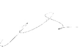 College By-Laws 1 signature